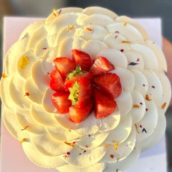 Fraisier